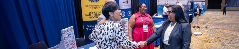 DoW Mentor-Protégé Program Summit 2024